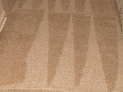 A carpet in a Chicagoland home that was cleaned by Loren Carpet Cleaners