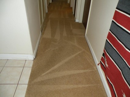 A hallway carpet in a Chicagoland home that was cleaned by Loren Carpet Cleaners